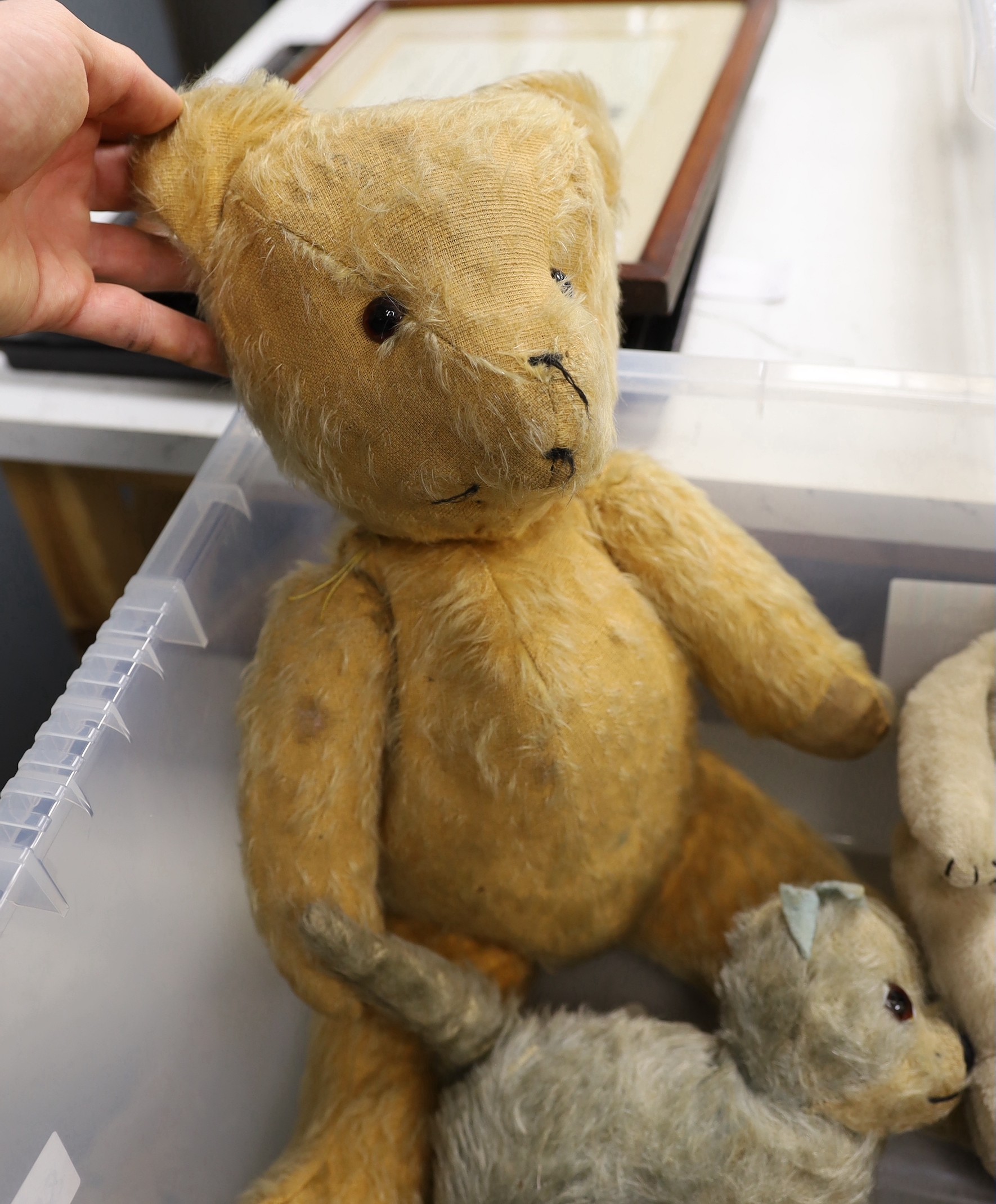 A selection of various early to mid 20th century teddy bears and toys, to include a Tri pulling wooden sausage dog